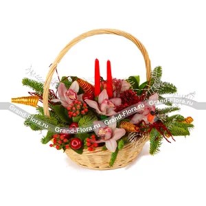 Зимний сад Зимний сад